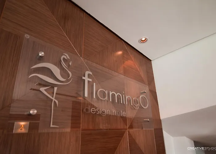Flamingo 코르처
