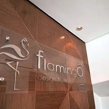 Flamingo ホテル コルチャ